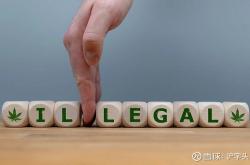 开云体育登录-东莞队人气飙升，成为关注焦点