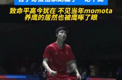 开云体育官方网站-关于丹麦队轻取日本队，石宇奇统治全场的信息