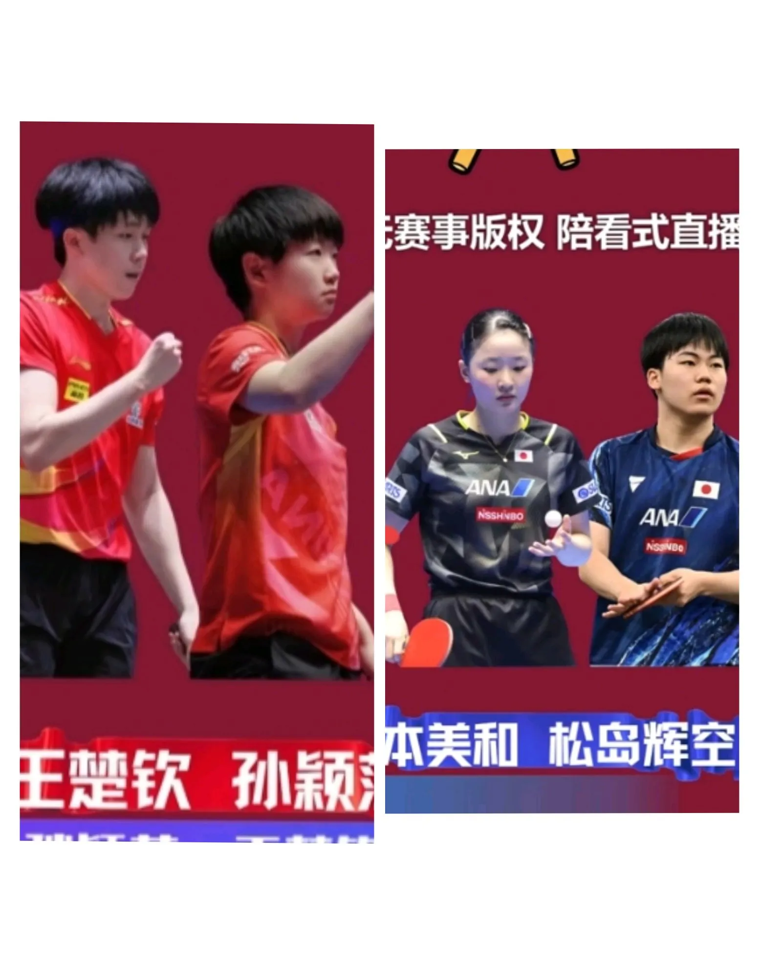 比利时乒乓球队绝杀波兰乒乓球队，张本智和制霸全场的简单介绍