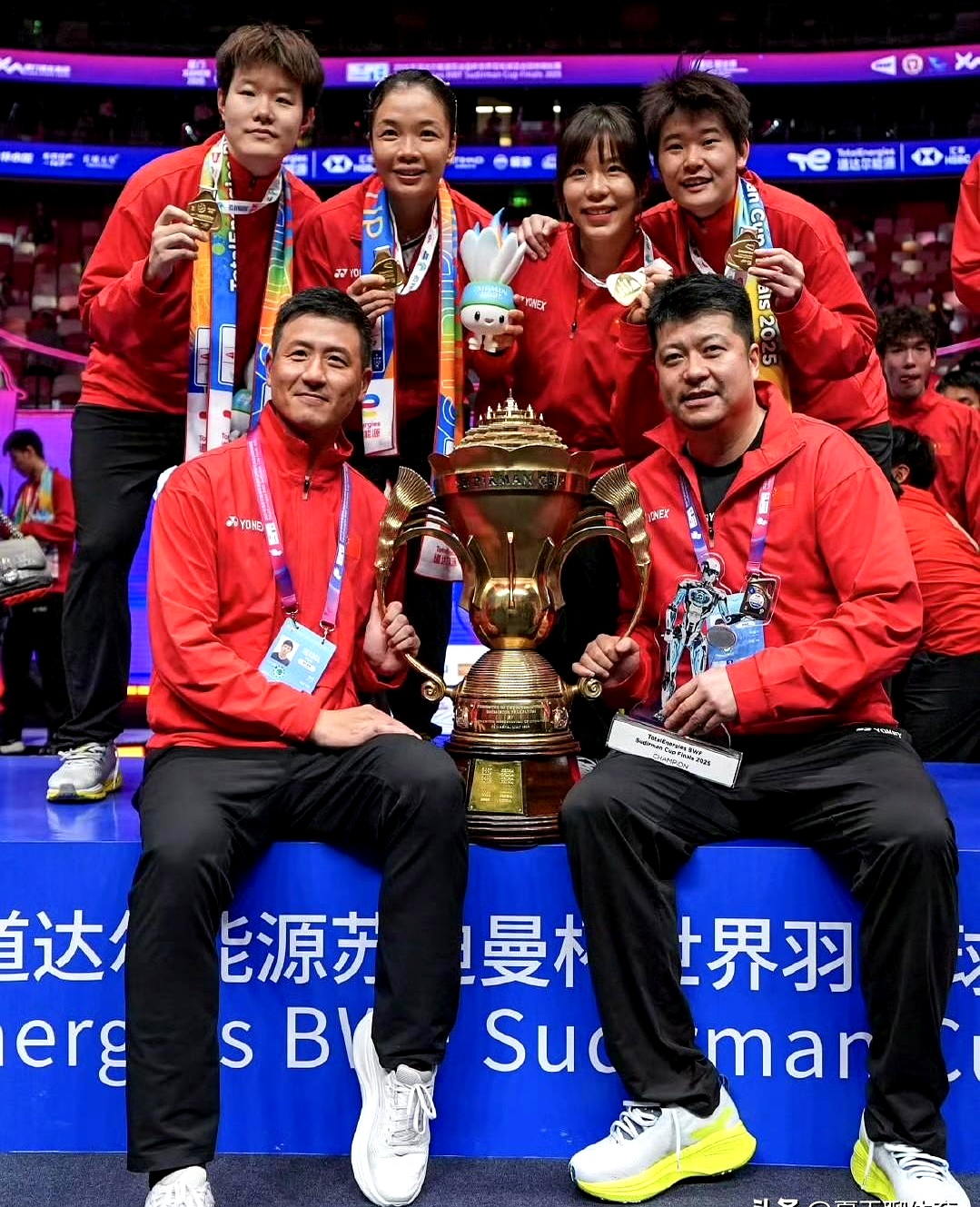 关于世界赛舞台，羽毛球代表国家出征荣耀的信息